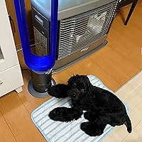 Amazon | ダイソンクール【dyson cool】AM07DCIB アイアンサテン
